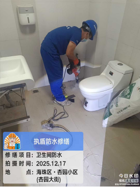 https://img2.danews.cc/upload/ajax/20251219/6b407bcfa1704b99090706c7616fda86.png